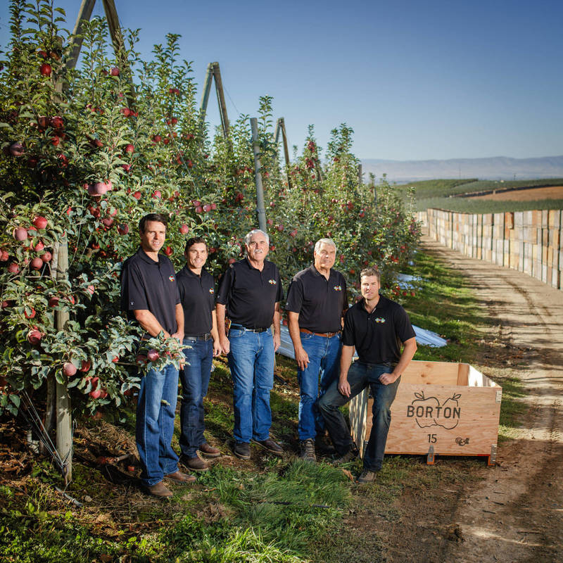 Future at Borton Fruit